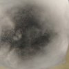 g0021254